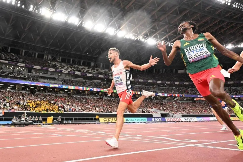 伍德霍尔以, 雷西耶在临, tenan 伍德霍尔以, 雷西耶在临, tenan