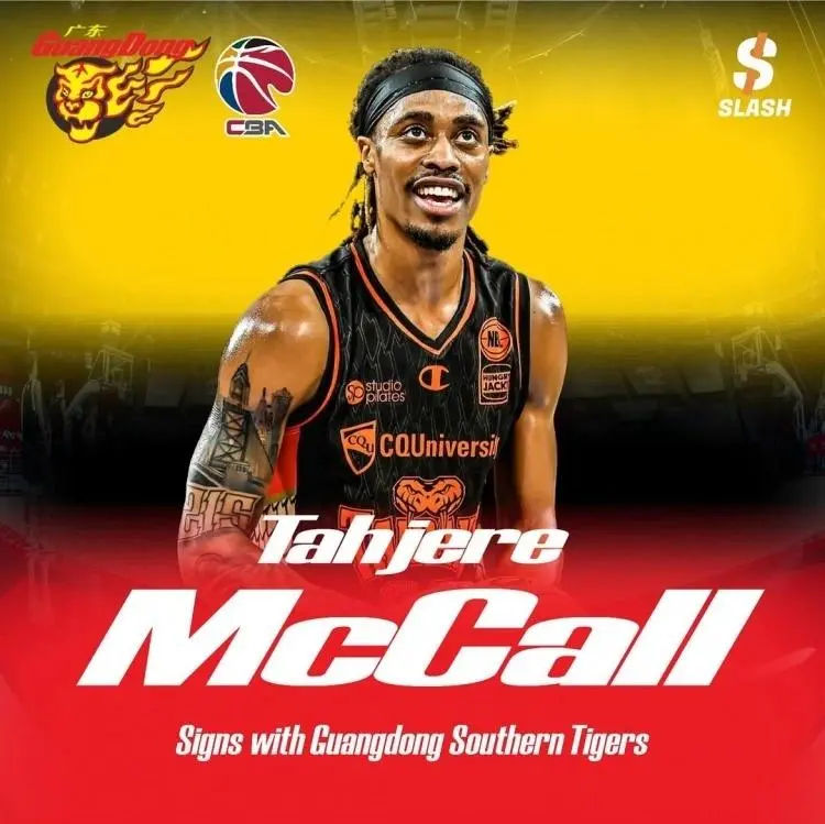 是填补了广 是填补了广