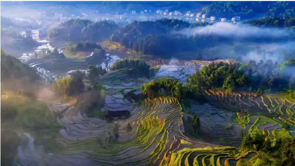 https, com, src https, com, src